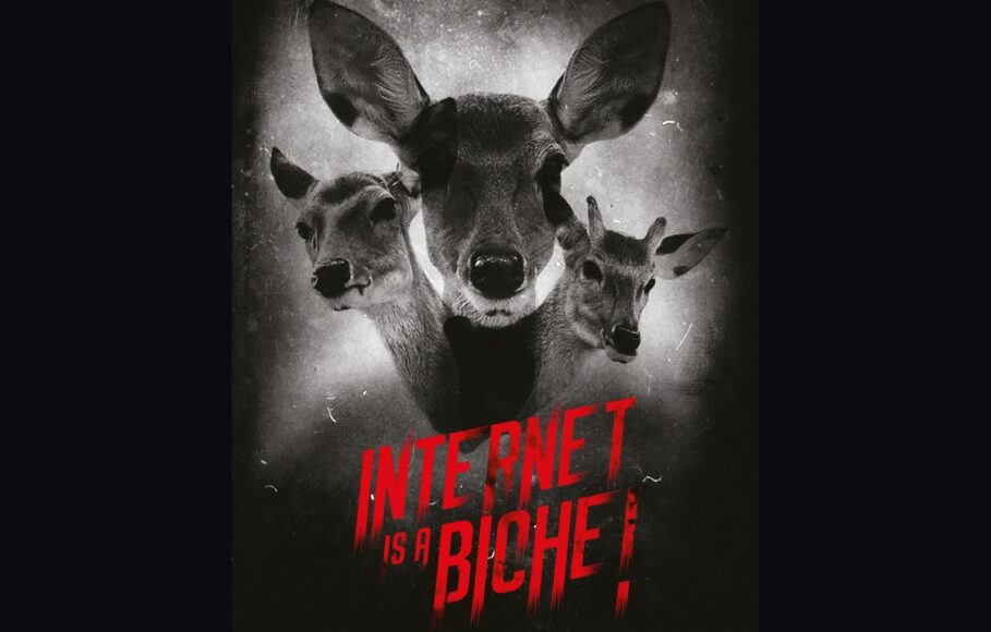 Face aux cyber risques&nbsp;: les étudiants se mobilisent&nbsp;!