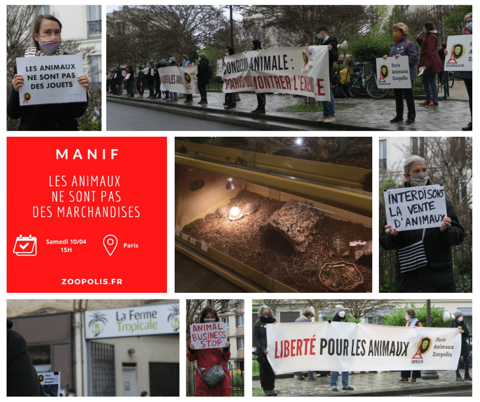 Manifestation pour le droit des animaux - Paris