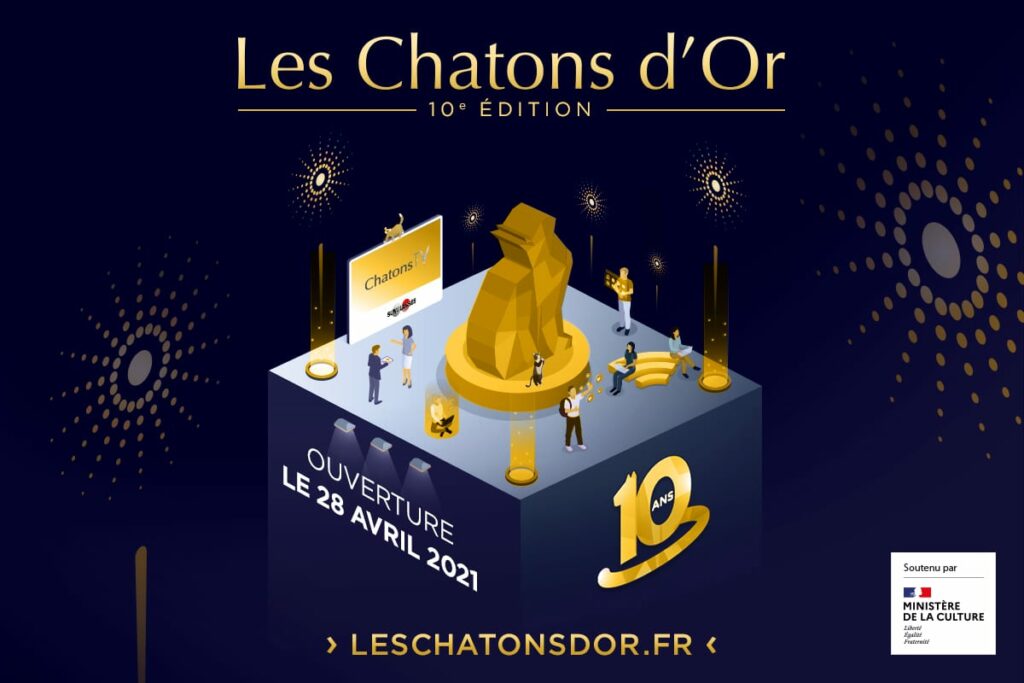 chatons-d'or-2021-digitale-3D-festival