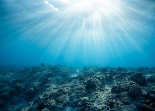 VIE ASSOCIATIVE : Wendy Barreteau, bénévole pour « Défense des Milieux Aquatiques »