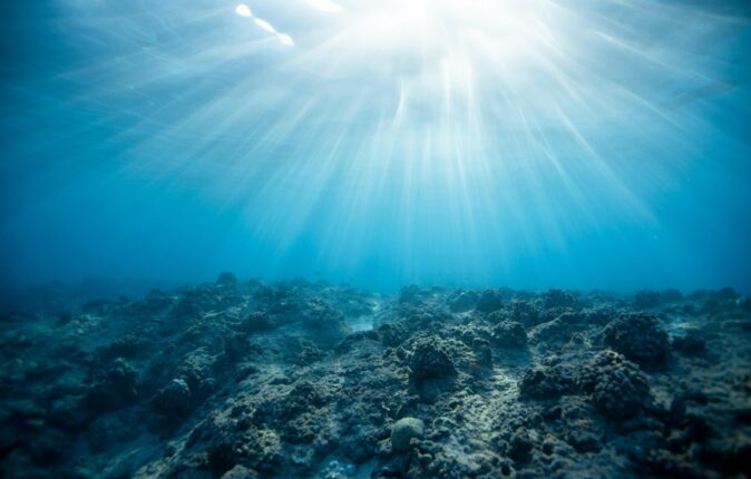 VIE ASSOCIATIVE : Wendy Barreteau, bénévole pour « Défense des Milieux Aquatiques »