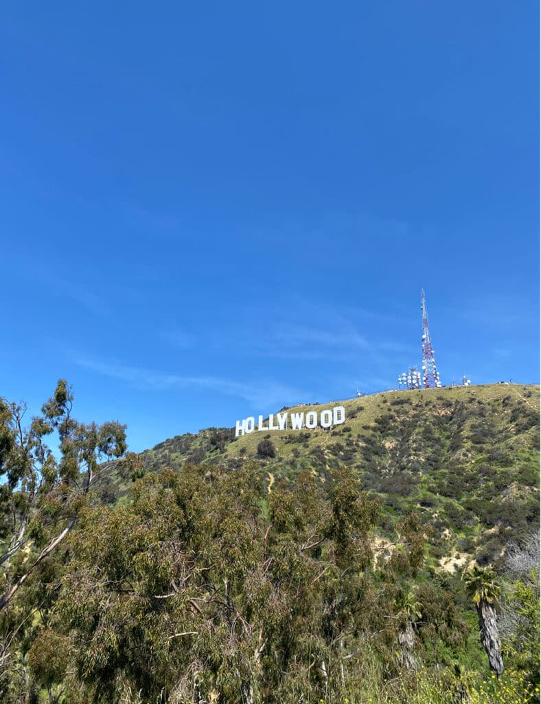 hollywood study