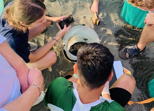 Oriane nous partage sa mission humanitaire au Costa Rica