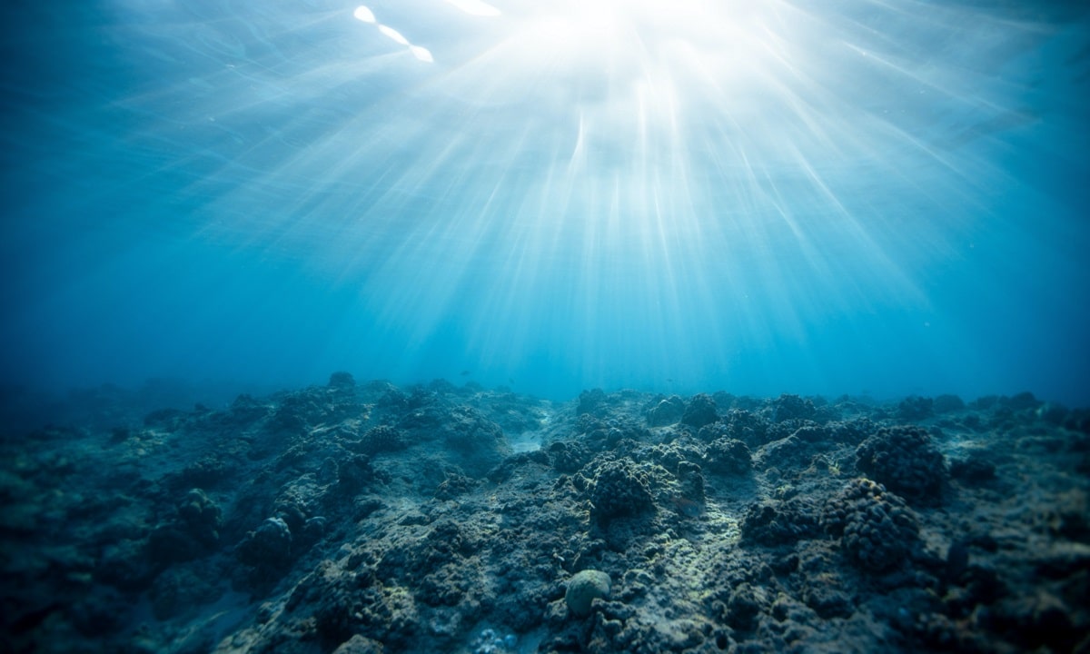 VIE ASSOCIATIVE : Wendy Barreteau, bénévole pour « Défense des Milieux Aquatiques »
