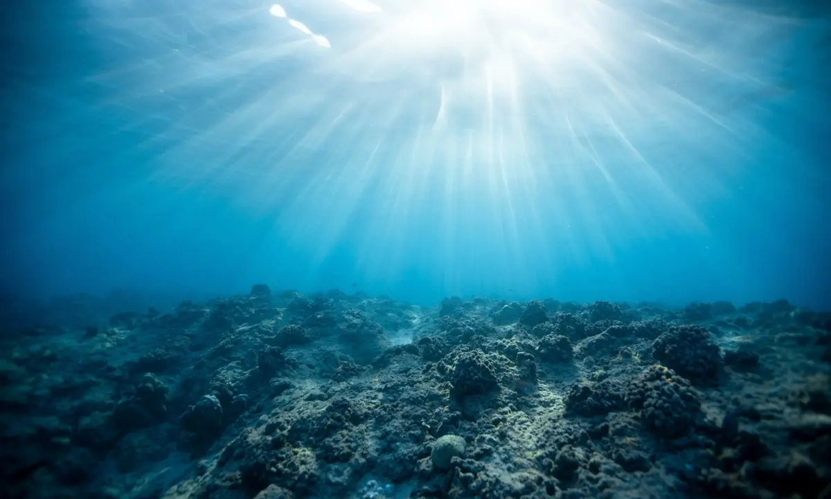 VIE ASSOCIATIVE : Wendy Barreteau, bénévole pour « Défense des Milieux Aquatiques »