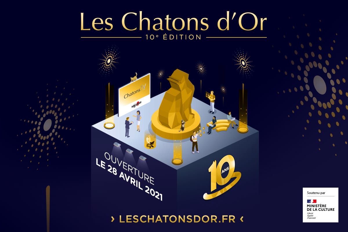 Les Chatons d’Or organisent leur 10e édition avec un festival en 3D
