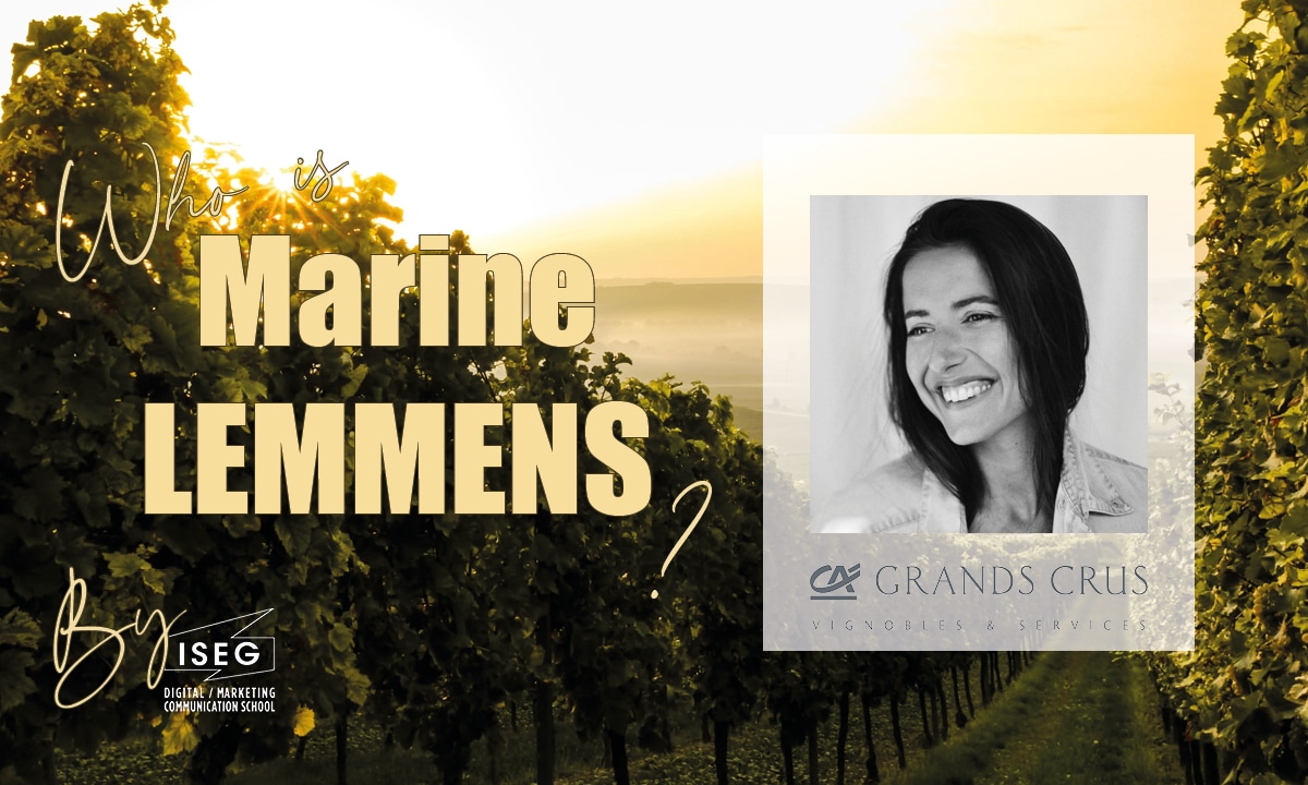 Comprendre le Marketing et la Communication des Grands Crus Classés